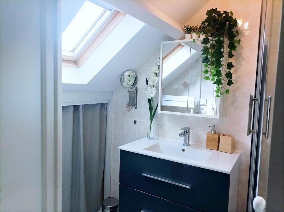 Le Duplex Decontracte Apartment *